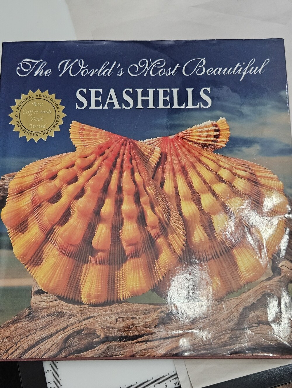 The World's Most Beautiful Seashells Coffee Table Book
